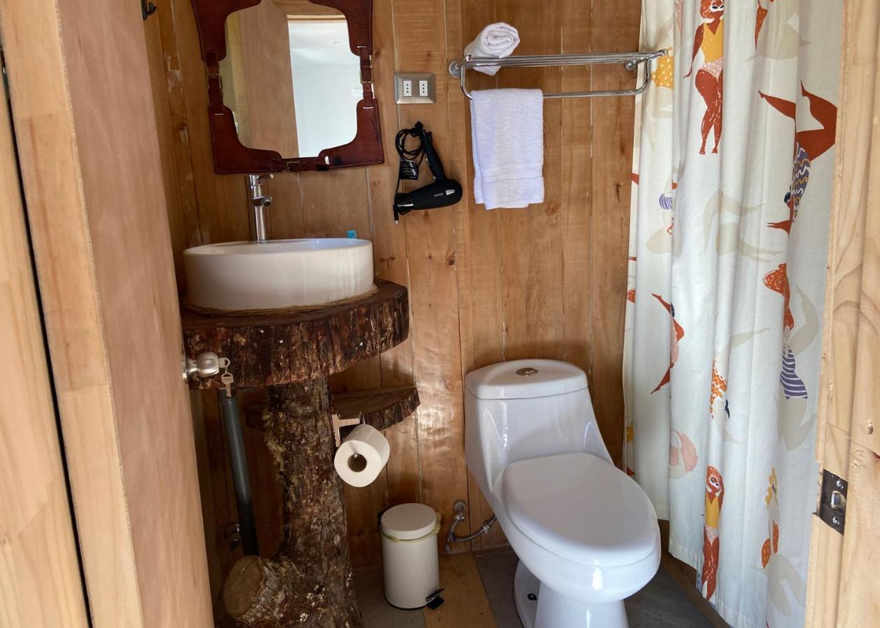 La Colmena Eco Homestay